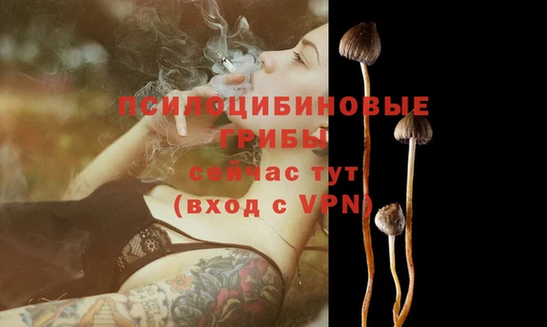 гидропоника Армянск