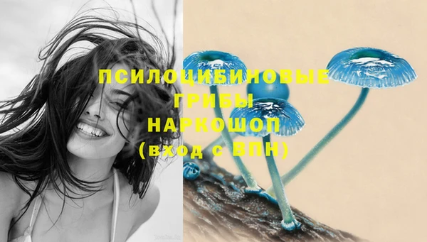 винт Аркадак