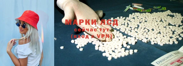 apvp Няндома